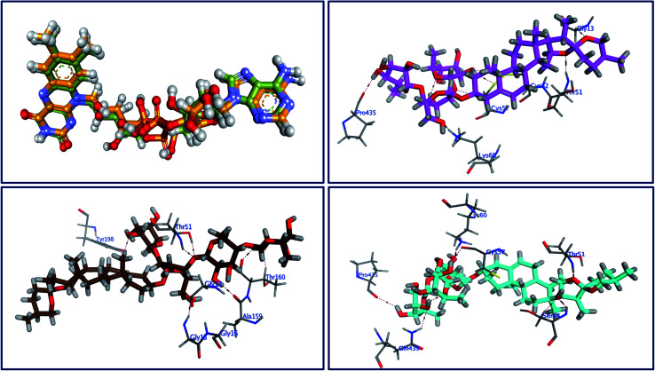 Fig. 6