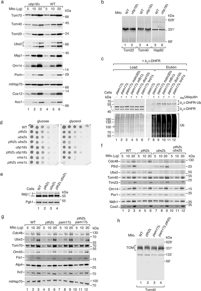 Extended Data Fig. 10