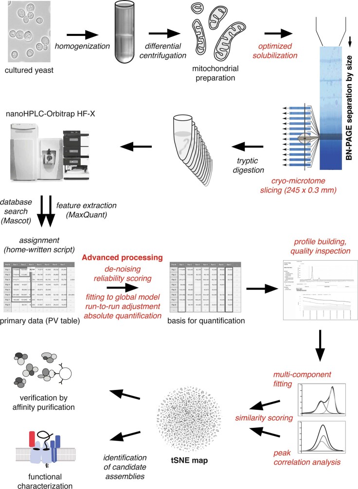 Extended Data Fig. 1