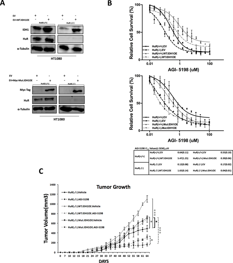 Figure 6: