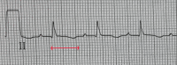 Figure 2)