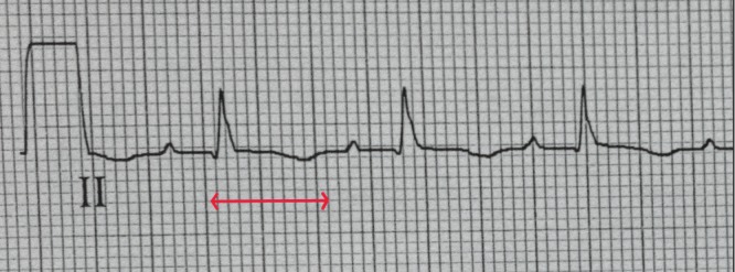 Figure 2)