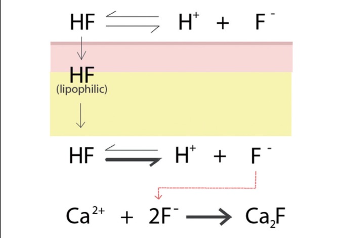 Figure 1)