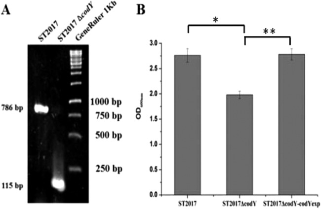 FIG 1