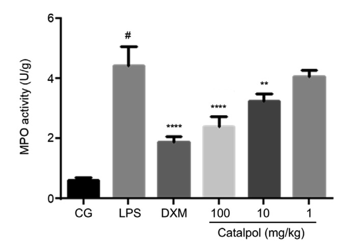 Fig. 6