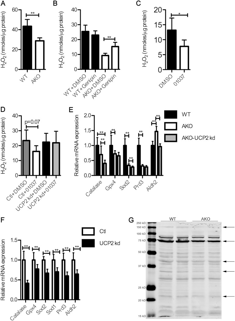 FIG 6