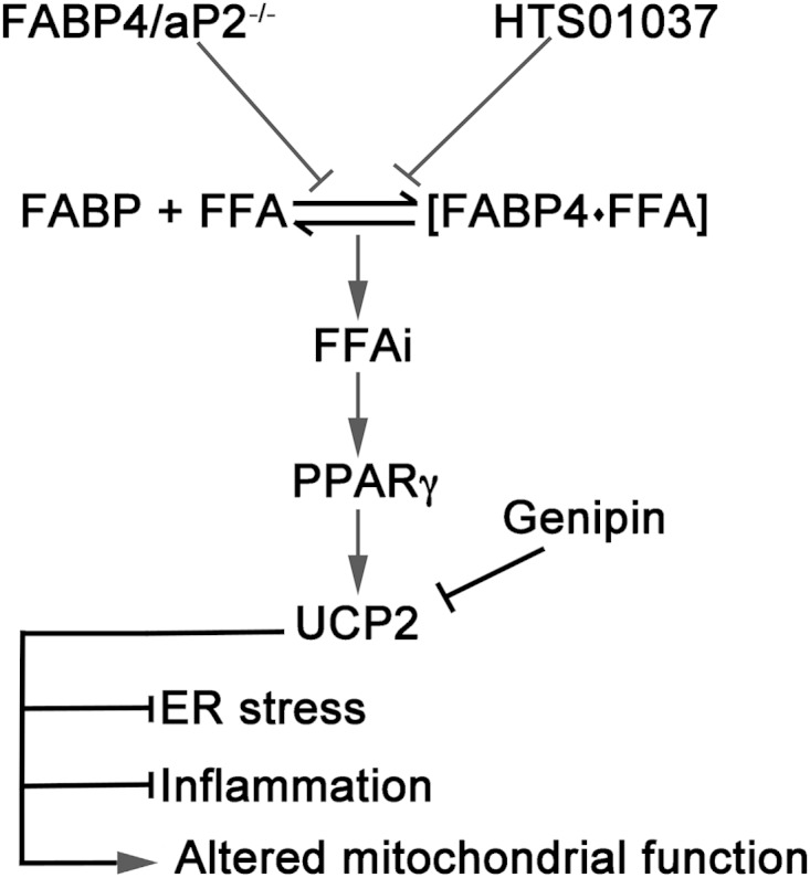 FIG 9