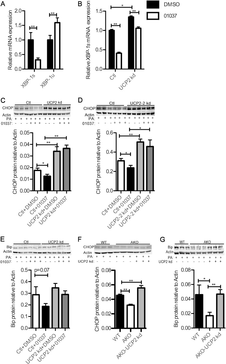 FIG 4