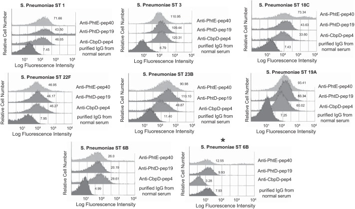 FIGURE 7.