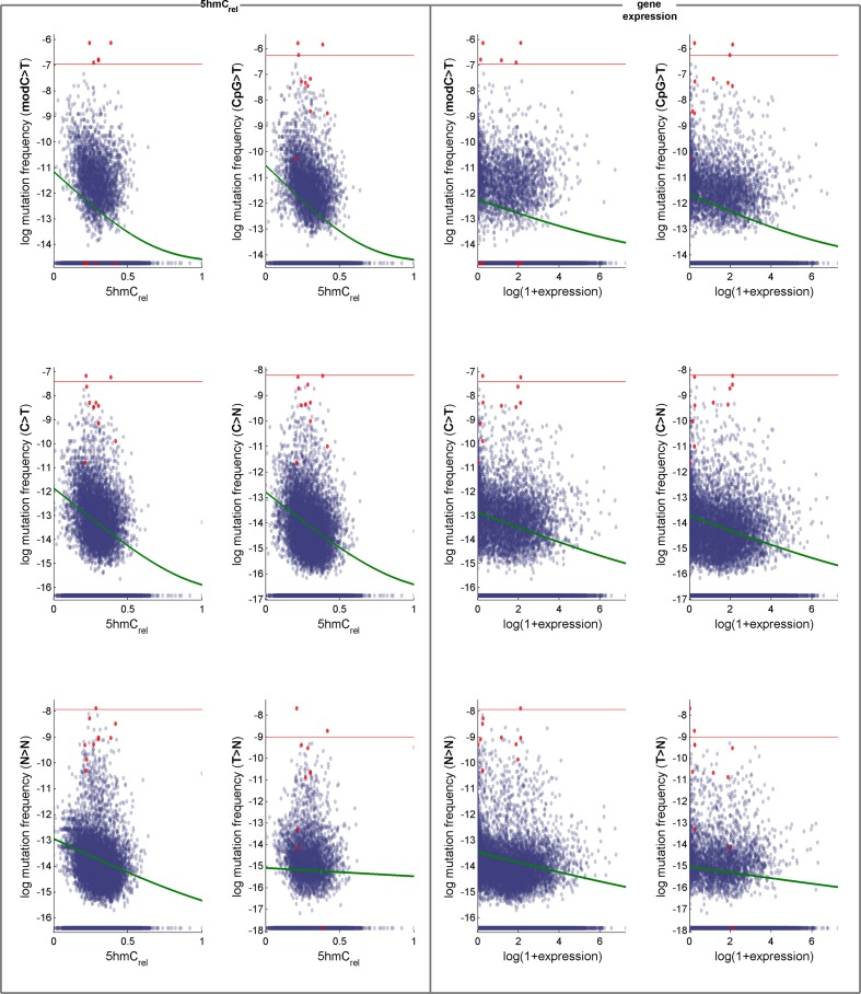 Figure 5—figure supplement 2.