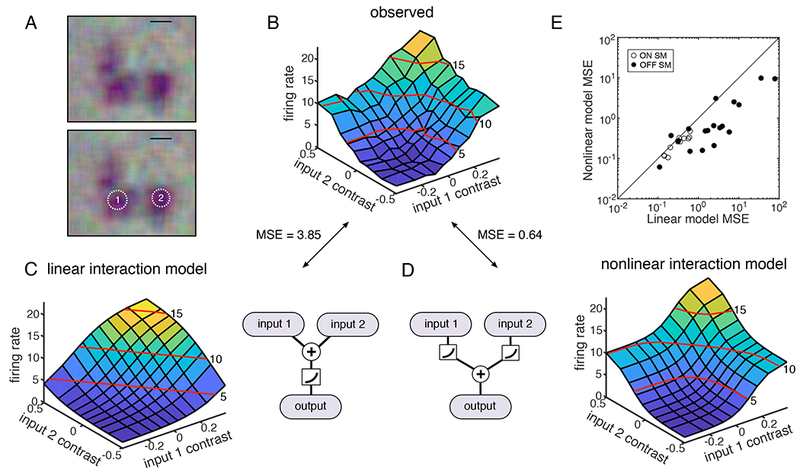 Figure 6: