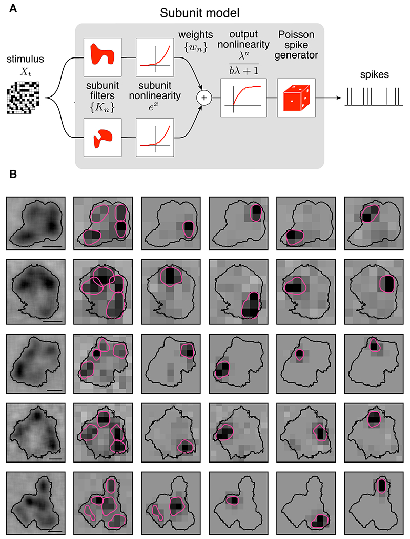 Figure 7: