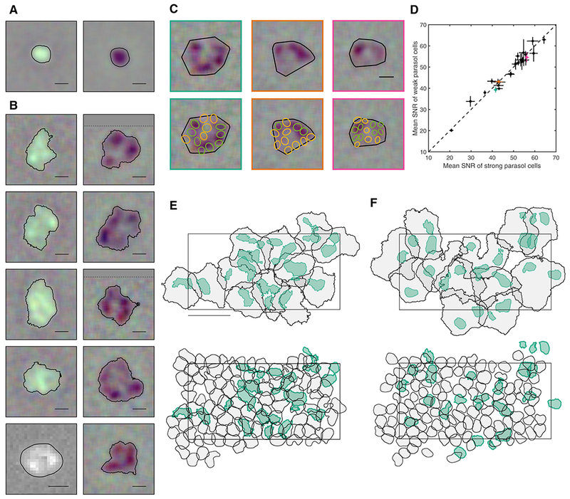 Figure 3: