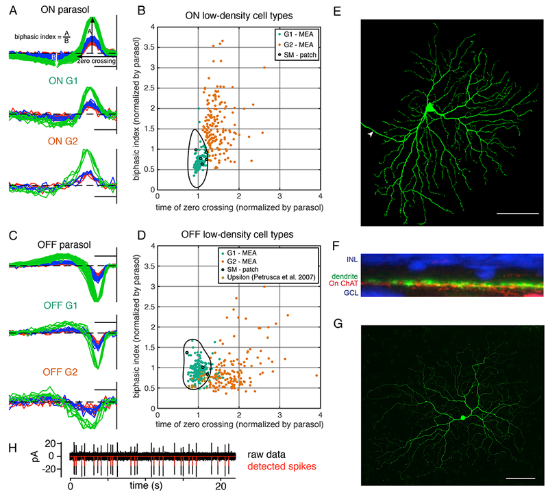 Figure 2: