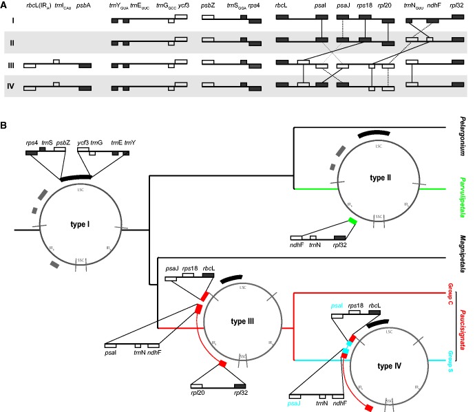 Fig. 2.—