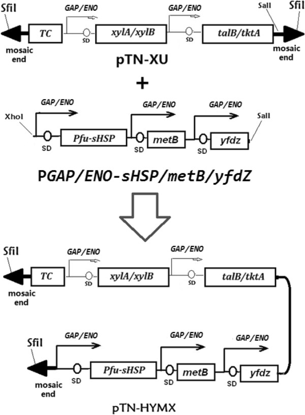 Figure 11