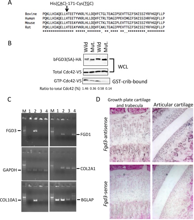 Fig 6