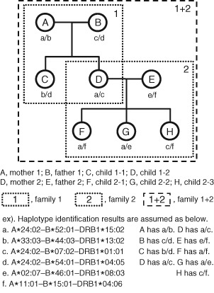 TAN-12536-FIG-0001-b