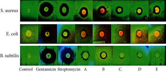 Figure 9