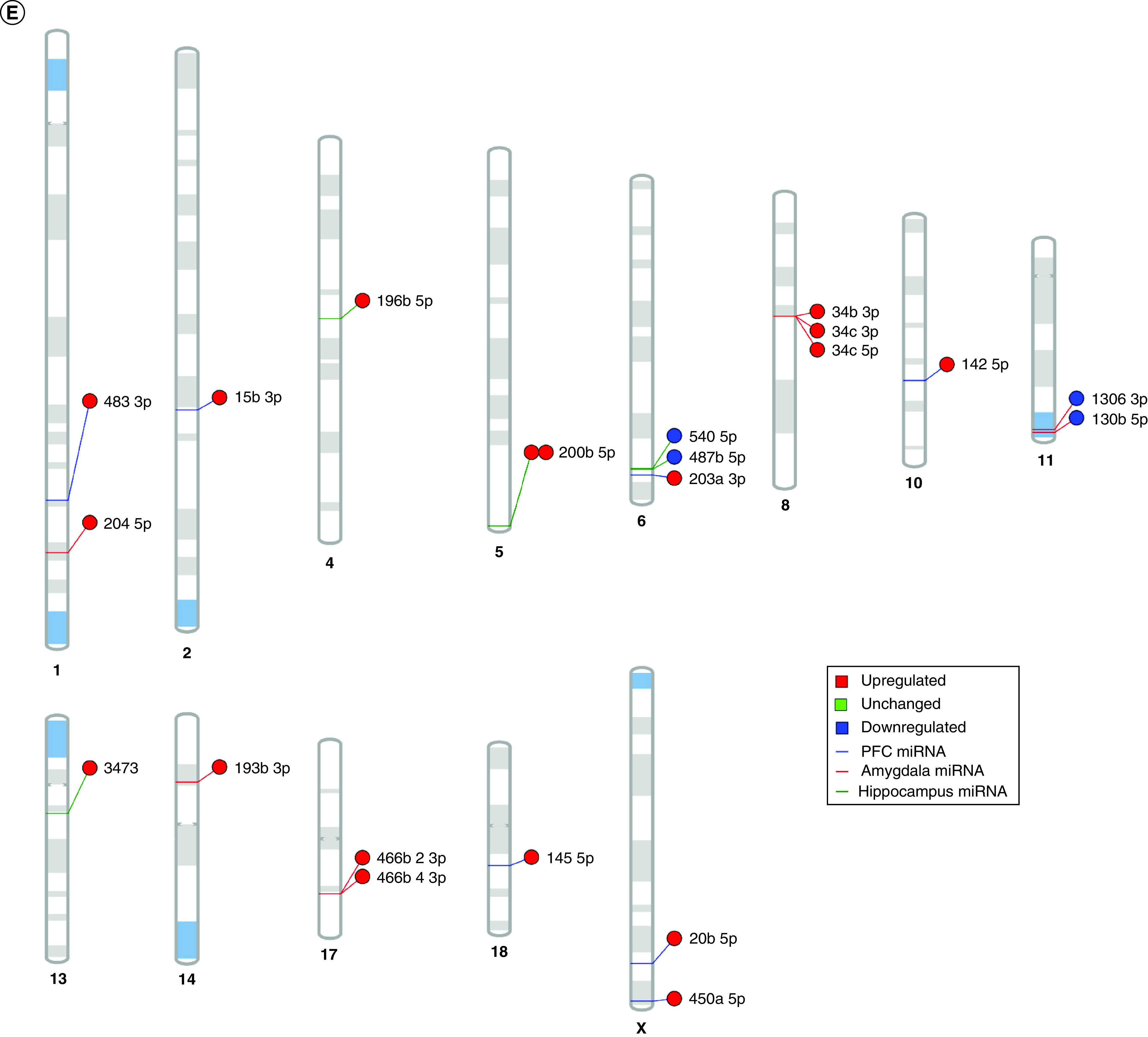 Figure 4. 