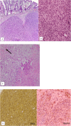 Fig. 3