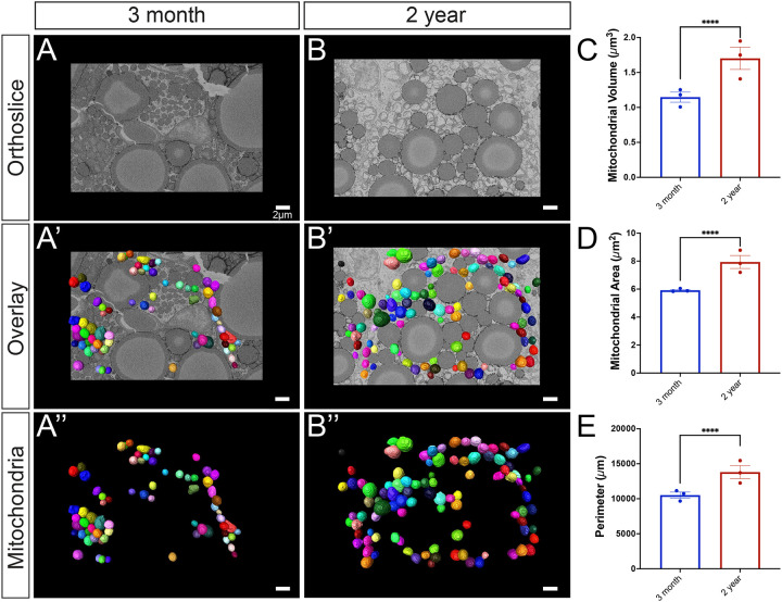 Figure 2: