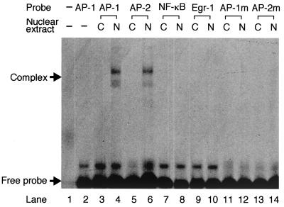 FIG. 6.