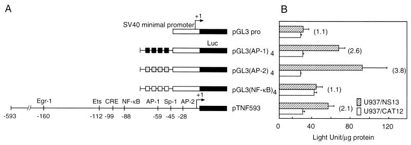 FIG. 5.