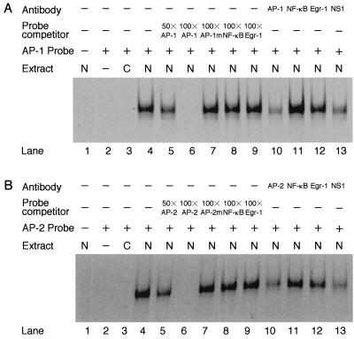 FIG. 7.