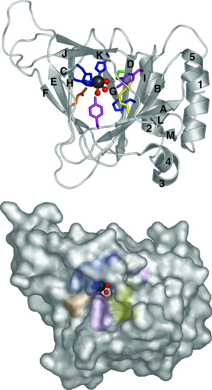 Fig. 2.