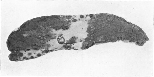 Fig. 13