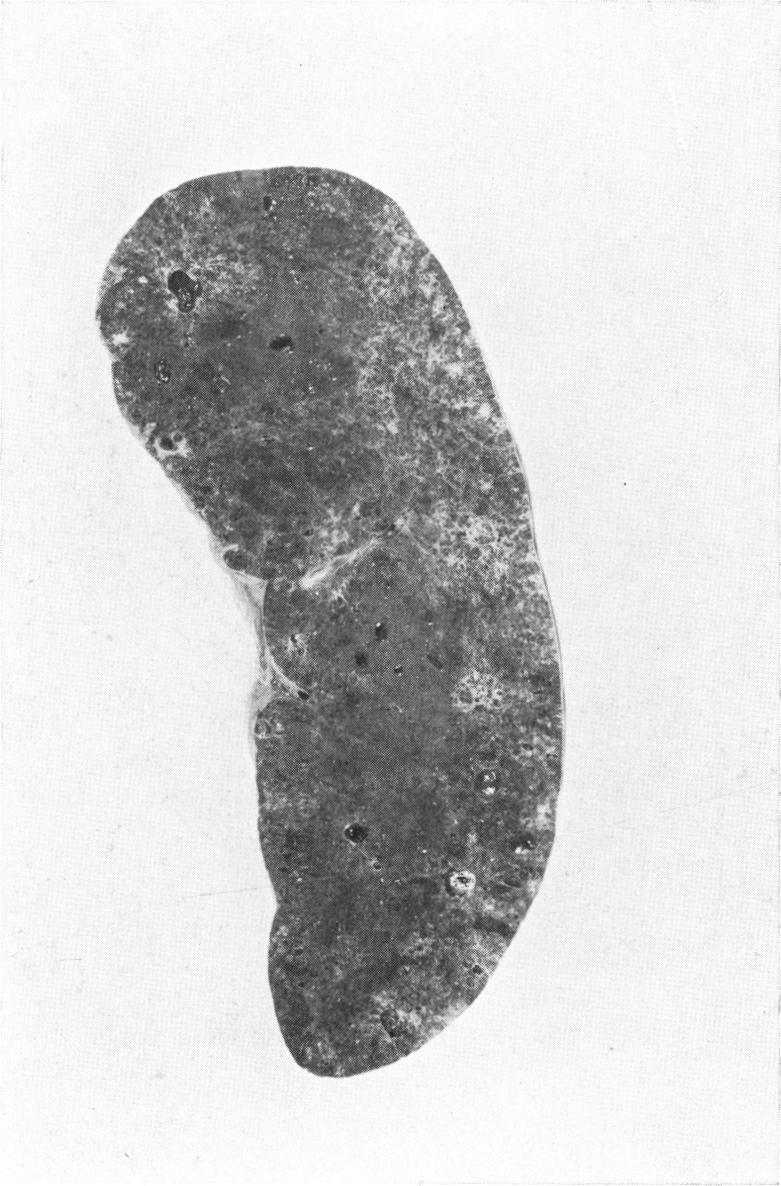 Fig. 16