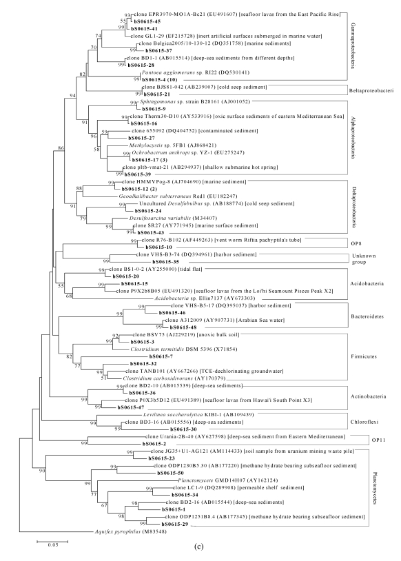 Fig.4