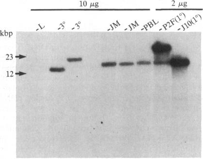 graphic file with name pnas00625-0029-a.jpg