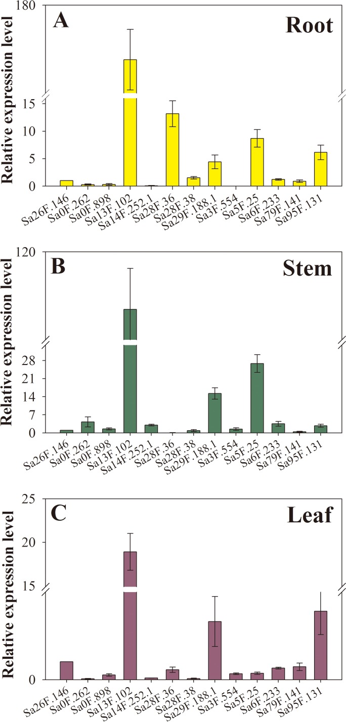 Figure 7