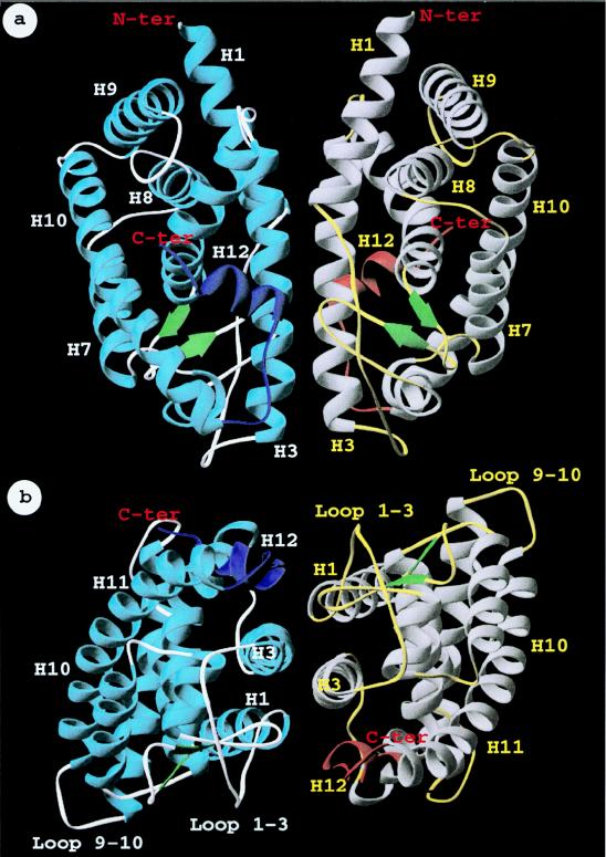 FIG. 11