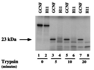 FIG. 5