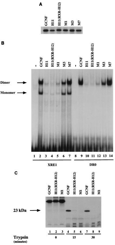 FIG. 7