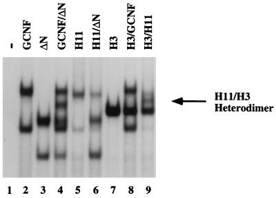 FIG. 6