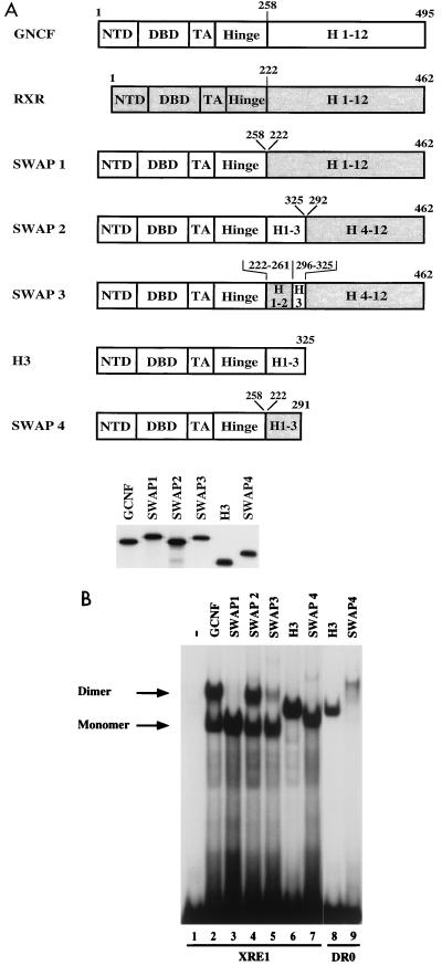 FIG. 10