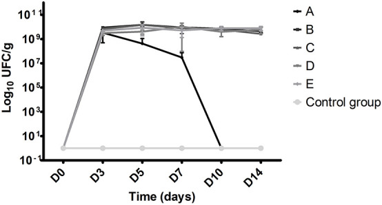 FIGURE 4