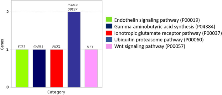 FIGURE 1