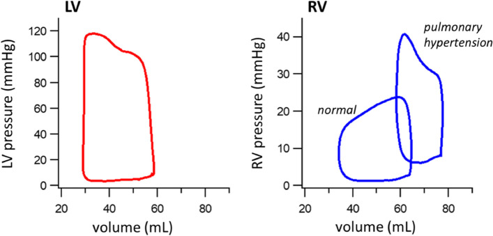 Fig. 2