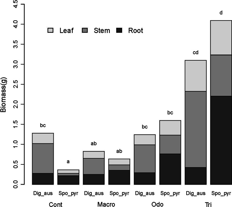 Figure 2