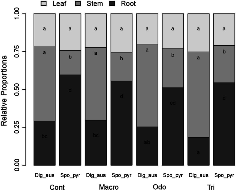 Figure 3