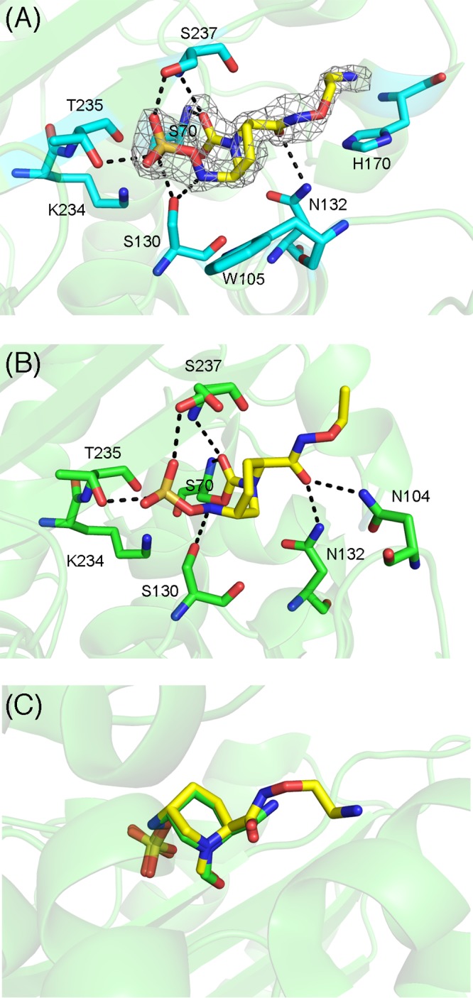 FIG 6