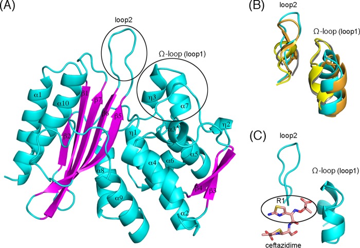 FIG 3