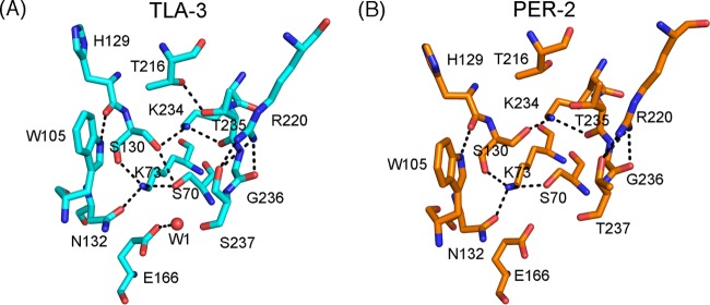 FIG 4