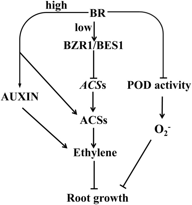 Fig 10