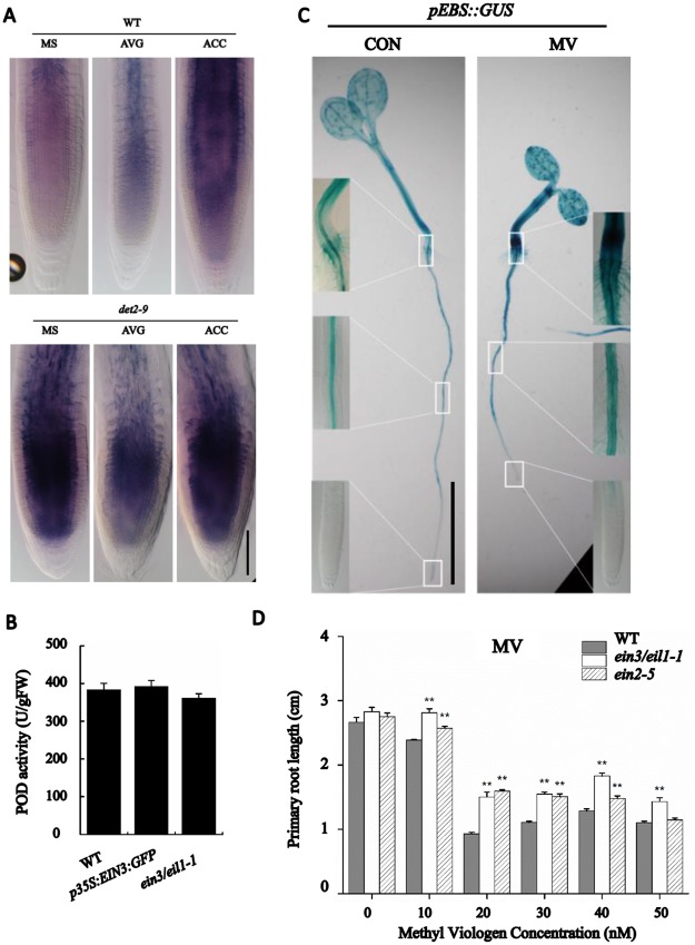 Fig 9